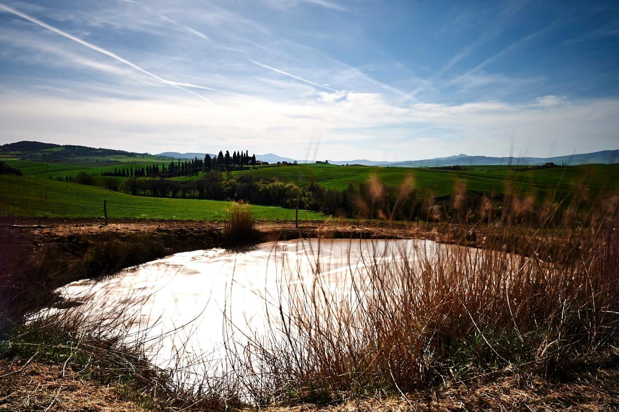 Agriturismo Il Casalino Пиенца Екстериор снимка