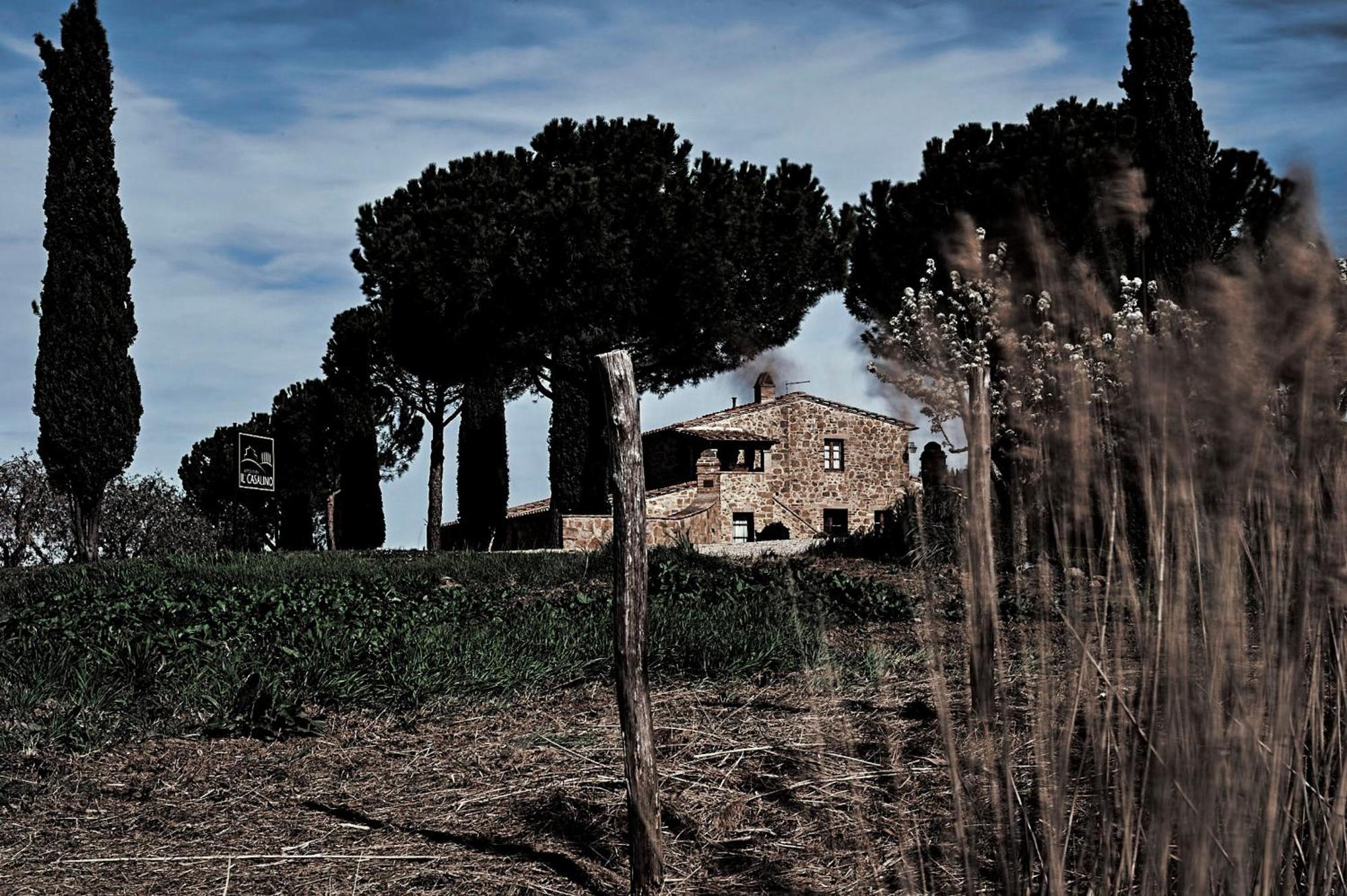 Agriturismo Il Casalino Пиенца Екстериор снимка