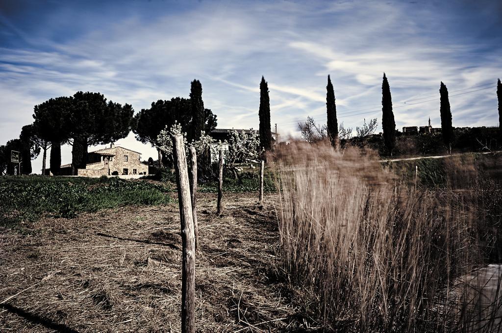 Agriturismo Il Casalino Пиенца Екстериор снимка