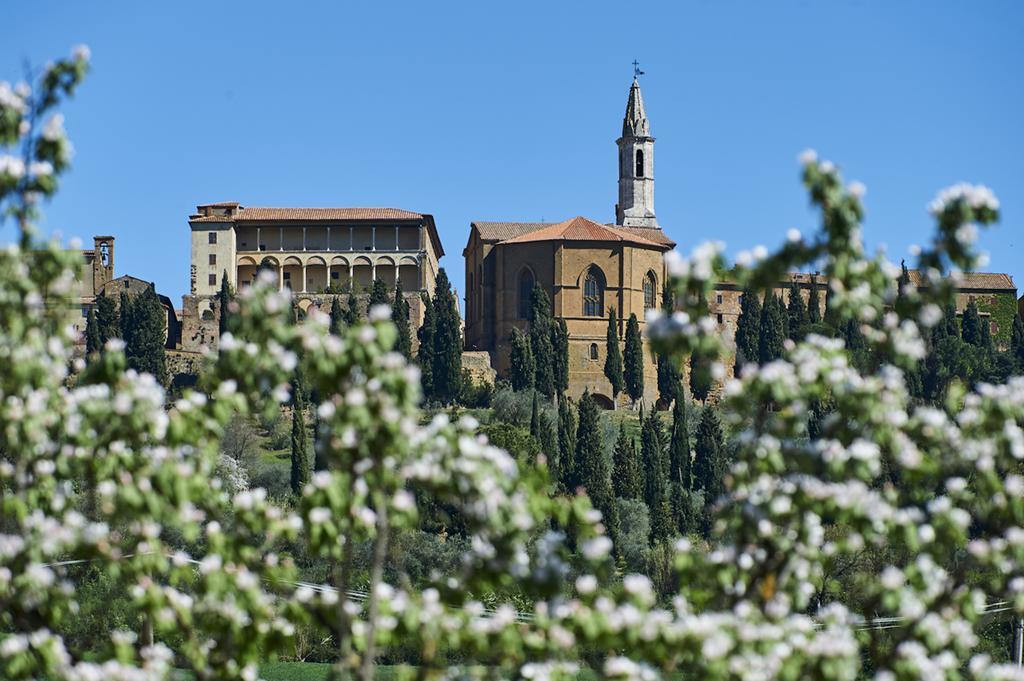 Agriturismo Il Casalino Пиенца Екстериор снимка