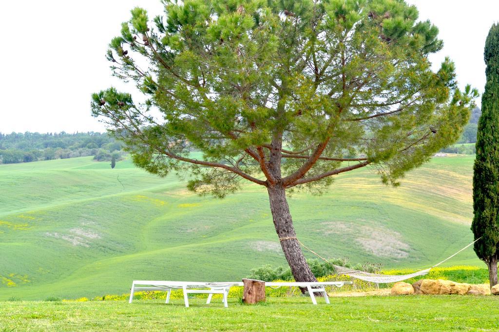 Agriturismo Il Casalino Пиенца Екстериор снимка
