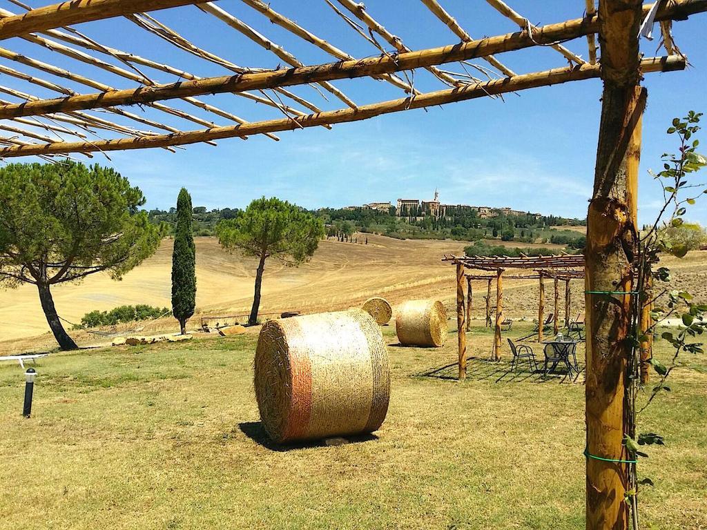 Agriturismo Il Casalino Пиенца Екстериор снимка